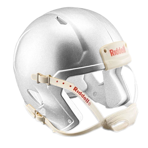 Las Vegas Raiders CUSTOM Matte White - Metallic Silver Mini Football Helmet