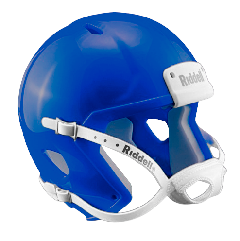 Custom Riddell Speed Authentic Mini Football Helmets