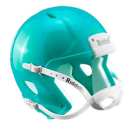 Blank Riddell Speed Mini Helmet Shells