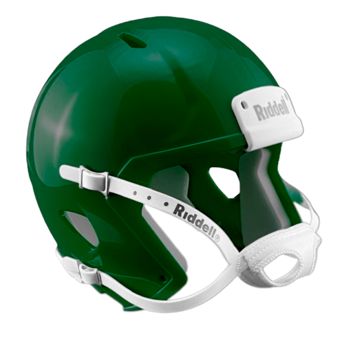 Custom Riddell Speed Mini Football Helmets