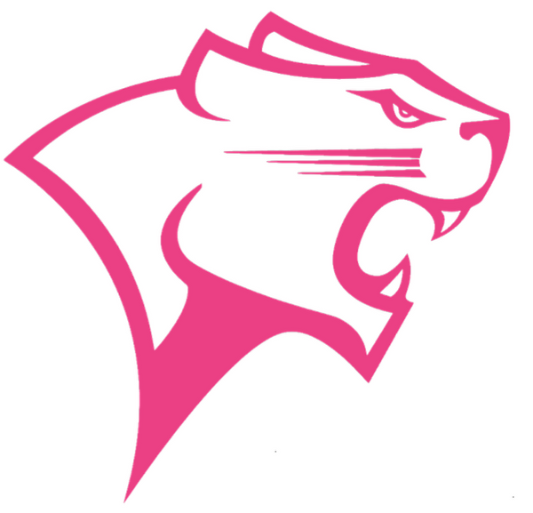 Chicago State Cougars Hot Pink Premium Diecut Vinyl Decal Pick Size Sportsjewelryproshop 