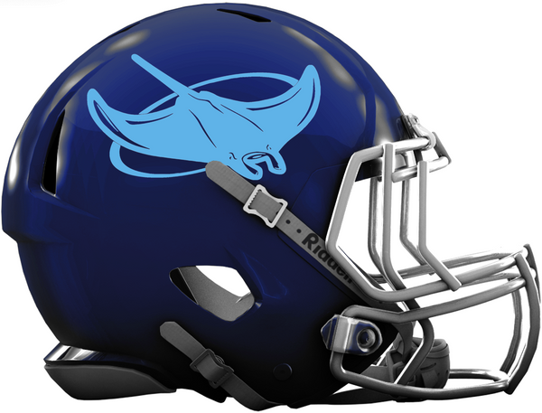 Tampa Bay Rays Custom Concept Navy Blue Mini Speed Football Helmet –  SportsJewelryProShop