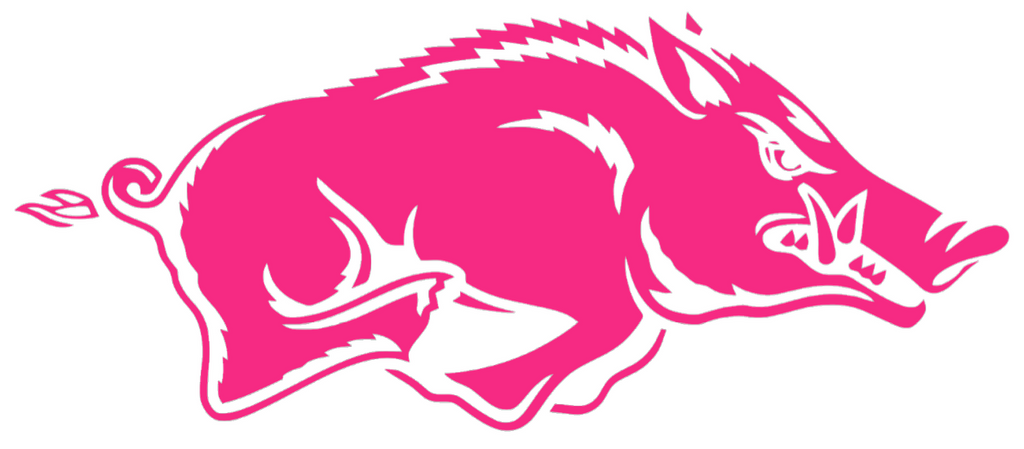 Arkansas Razorbacks HOT PINK Team Logo Premium DieCut Vinyl Decal PICK SIZE