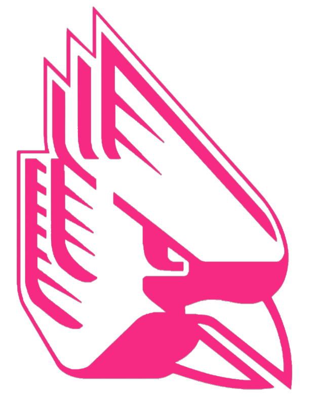 Ball State Cardinals HOT PINK Team Logo Premium DieCut Vinyl Decal PICK SIZE