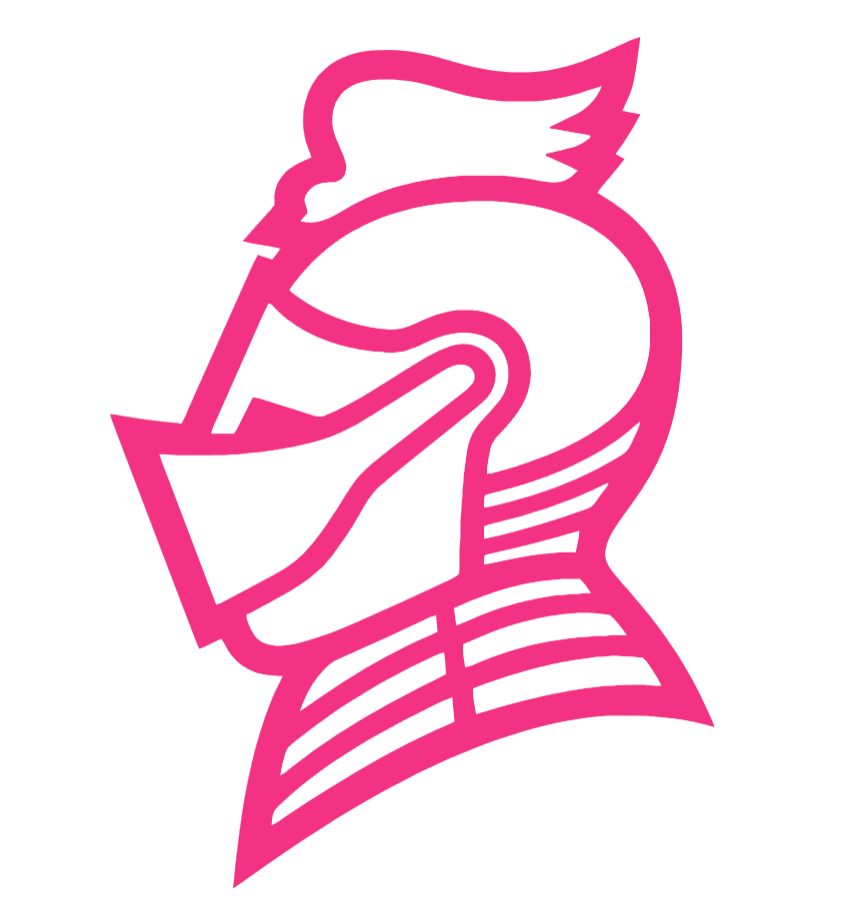 Bellarmine Knights HOT PINK Team Logo Premium DieCut Vinyl Decal PICK SIZE