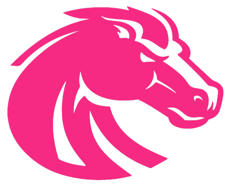 Boise State Broncos HOT PINK Team Logo Premium DieCut Vinyl Decal PICK SIZE