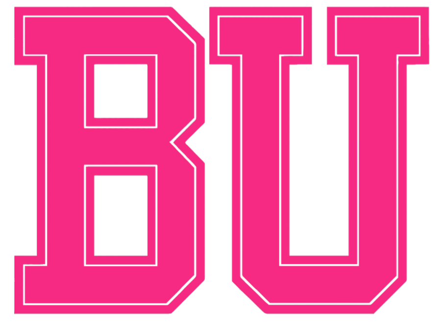 Boston University Terriers HOT PINK Team Logo Premium DieCut Vinyl Decal PICK SIZE