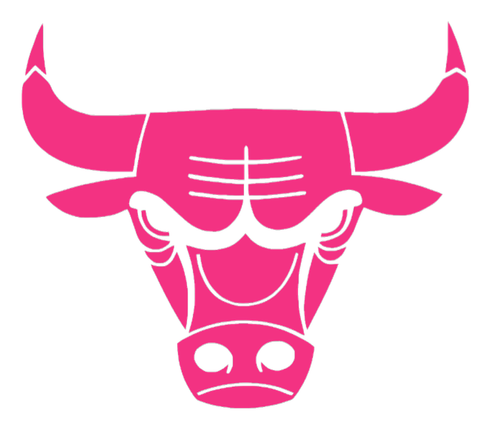 Chicago Bulls HOT PINK Team Logo Premium DieCut Vinyl Decal PICK SIZE