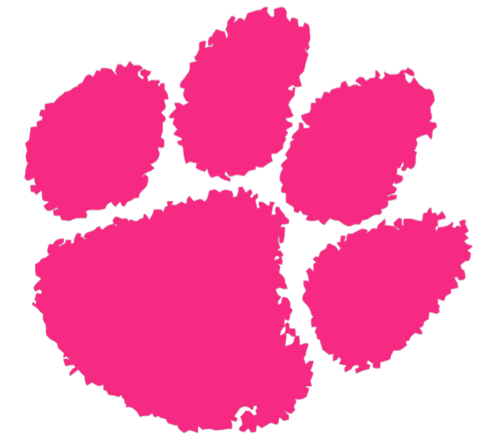 Clemson Tigers HOT PINK Team Logo Premium DieCut Vinyl Decal PICK SIZE