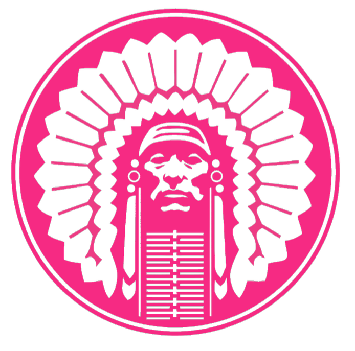 Illinois Fighting Illini HOT PINK Retro Throwback Logo Premium DieCut Vinyl Decal PICK SIZE