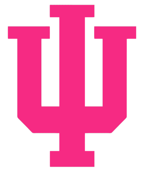 Indiana Hoosiers HOT PINK Team Logo Premium DieCut Vinyl Decal PICK SIZE