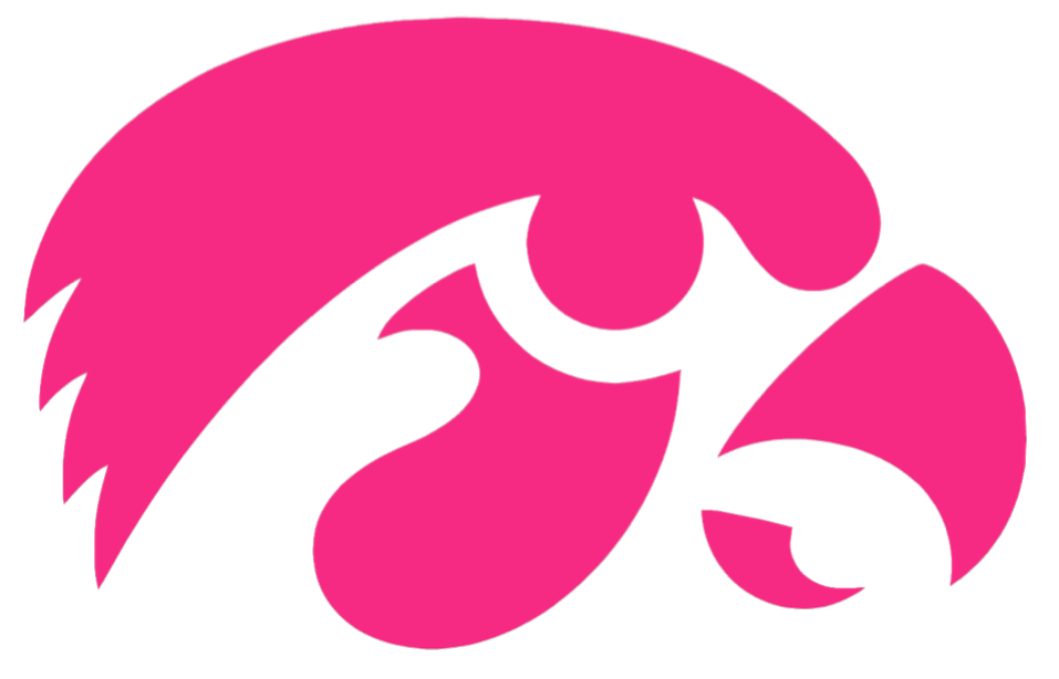 Iowa Hawkeyes HOT PINK Team Logo Premium DieCut Vinyl Decal PICK SIZE