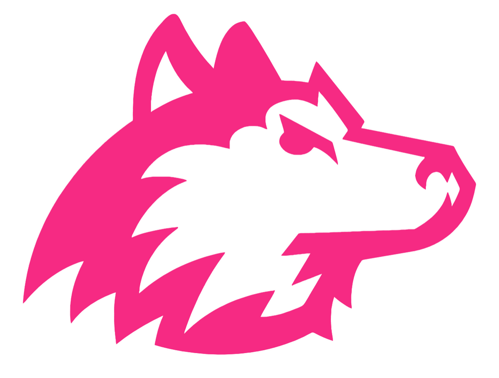 Northern Illinois Huskies HOT PINK Team Logo Premium DieCut Vinyl Decal PICK SIZE