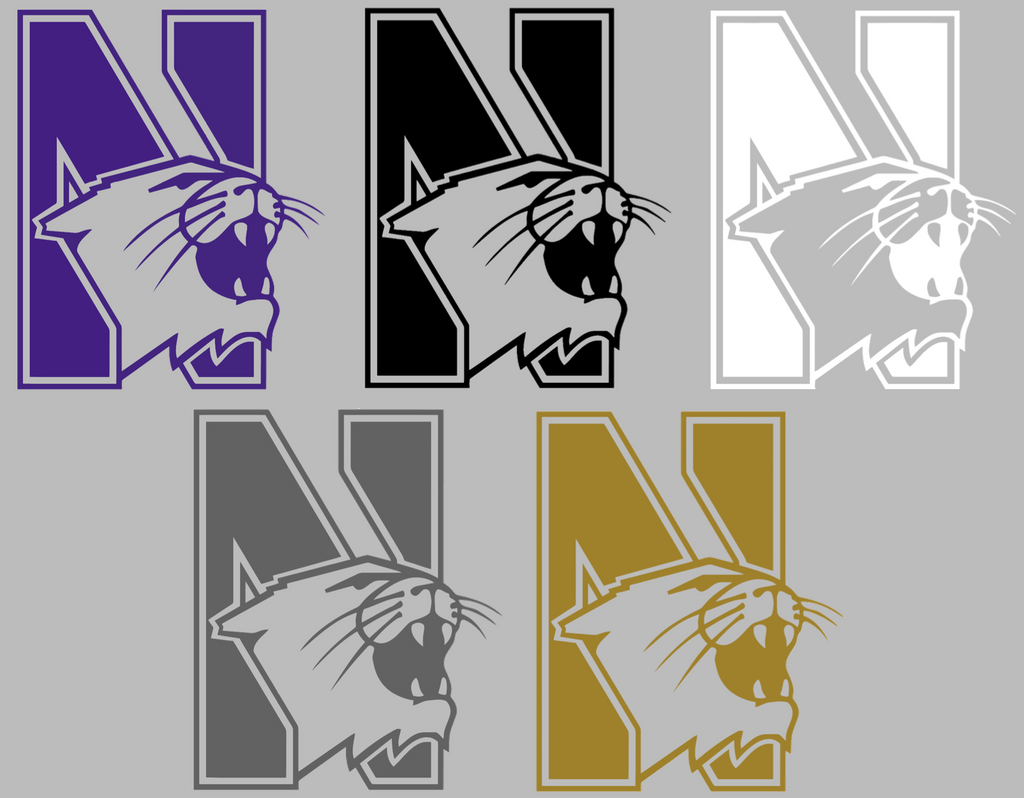 Northwestern Wildcats Retro Throwback Logo Premium DieCut Vinyl Decal PICK COLOR & SIZE