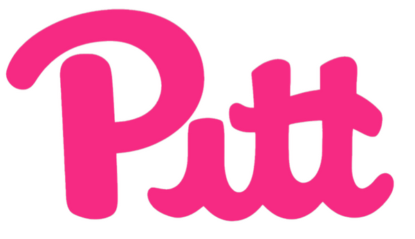 Pittsburgh Pitt Panthers HOT PINK Team Logo Premium DieCut Vinyl Decal PICK SIZE