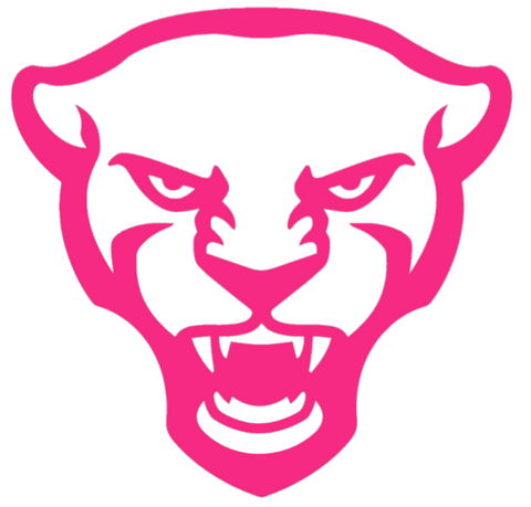 Pittsburgh Pitt Panthers HOT PINK Mascot Logo Premium DieCut Vinyl Decal PICK SIZE