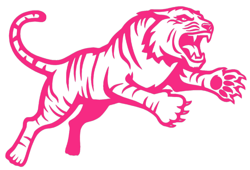 RIT Tigers HOT PINK Team Logo Premium DieCut Vinyl Decal PICK SIZE