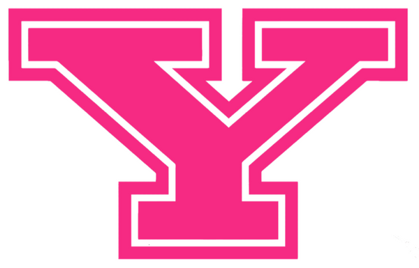 Youngstown State Penguins HOT PINK Team Logo Premium DieCut Vinyl Decal PICK SIZE