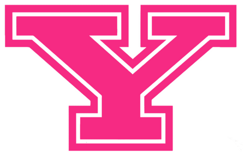 Youngstown State Penguins HOT PINK Team Logo Premium DieCut Vinyl Decal PICK SIZE