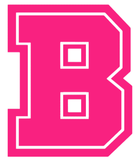 Brown Bears HOT PINK Team Logo Premium DieCut Vinyl Decal PICK SIZE