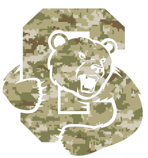 Cornell Big Red Team Logo Salute to Service Camouflage Camo Vinyl Decal PICK SIZE