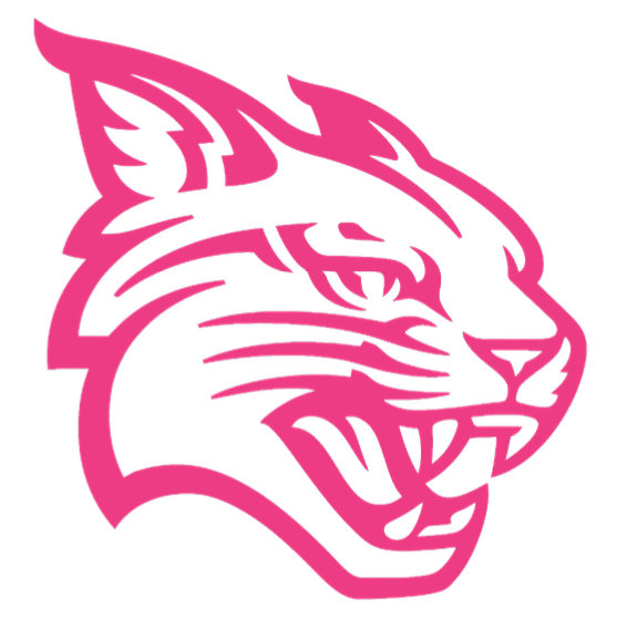 Davidson Wildcats HOT PINK Team Logo Premium DieCut Vinyl Decal PICK SIZE