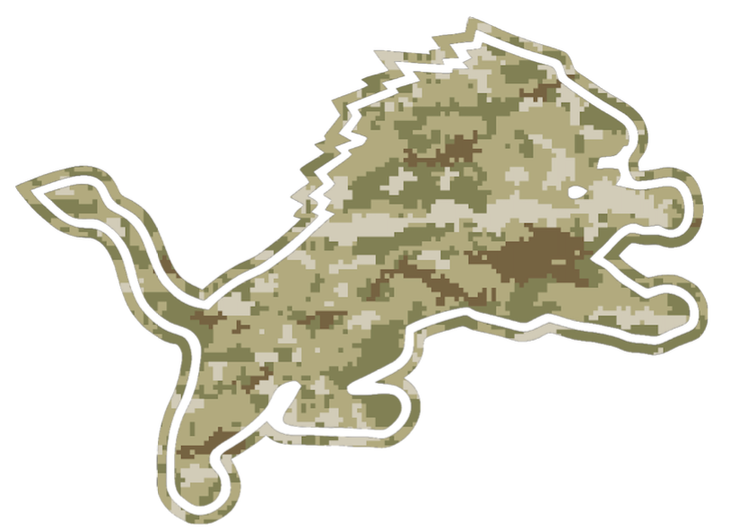 Detroit Lions Salute to Service Retro Logo Camouflage Camo Vinyl Decal PICK SIZE