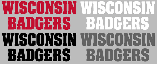 Wisconsin Badgers Team Name Logo Premium DieCut Vinyl Decal PICK COLOR & SIZE