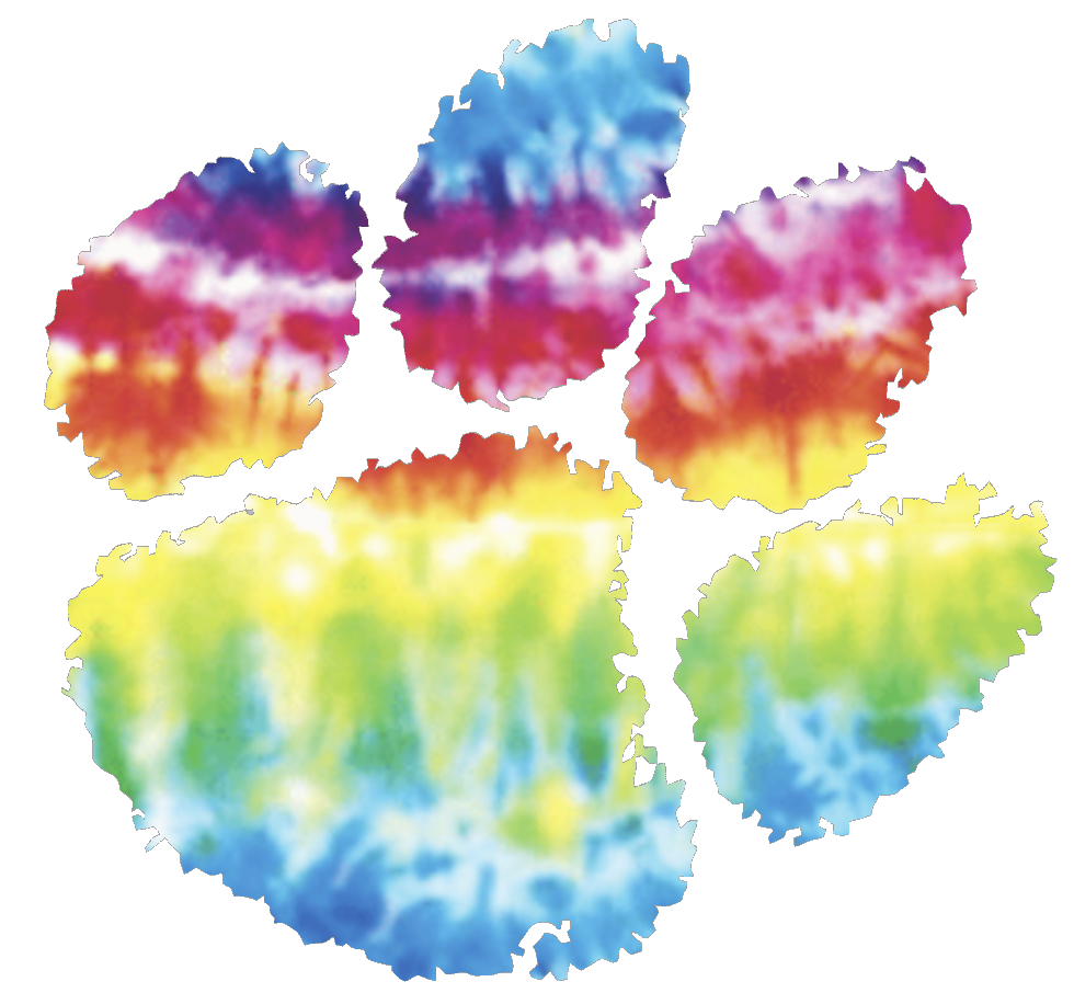 Clemson Tigers Team Logo Crucial Catch Cancer Tie Dye Vinyl Decal PICK SIZE