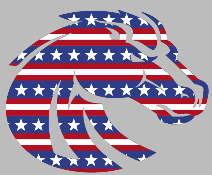 Boise State Broncos Team Logo Stars & Stripes USA American Flag Vinyl Decal PICK SIZE