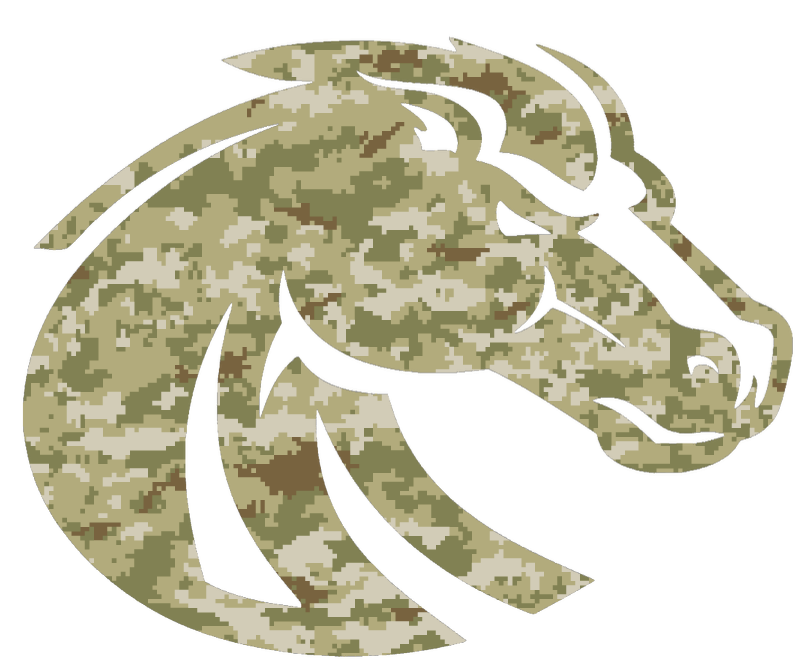 Boise State Broncos Team Logo Salute to Service Camouflage Camo Vinyl Decal PICK SIZE