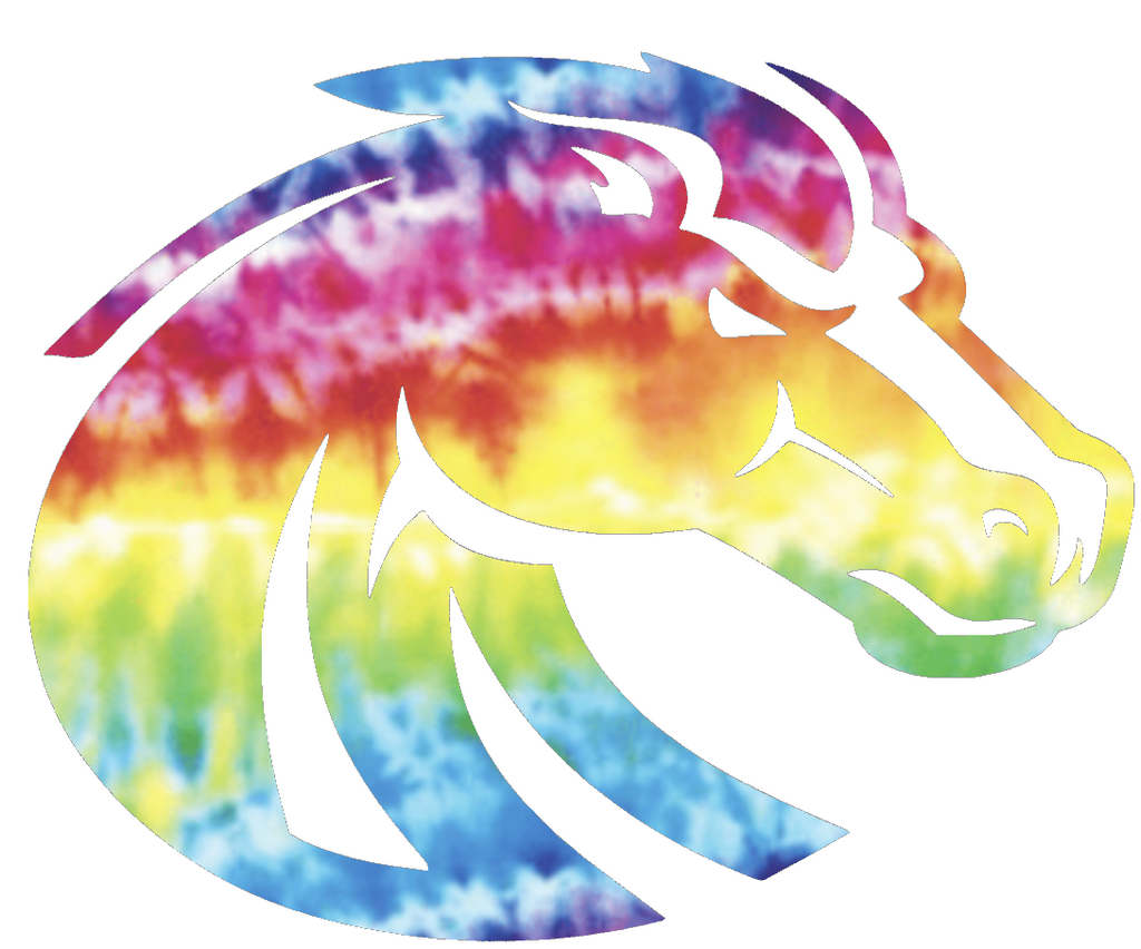 Boise State Broncos Team Logo Crucial Catch Cancer Tie Dye Vinyl Decal PICK SIZE