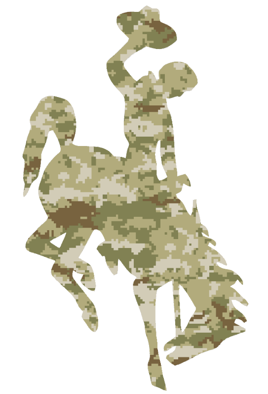 Wyoming Cowboys Team Logo Salute to Service Camouflage Camo Vinyl Decal PICK SIZE