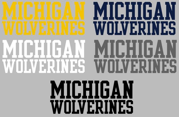 Michigan Wolverines Team Name Logo Premium DieCut Vinyl Decal PICK COLOR & SIZE