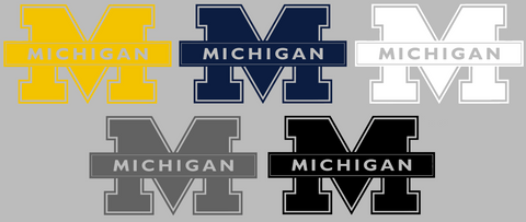 Michigan Wolverines Alternate Logo Premium DieCut Vinyl Decal PICK COLOR & SIZE