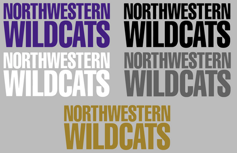 Northwestern Wildcats Mascot Logo Premium DieCut Vinyl Decal PICK COLOR & SIZE