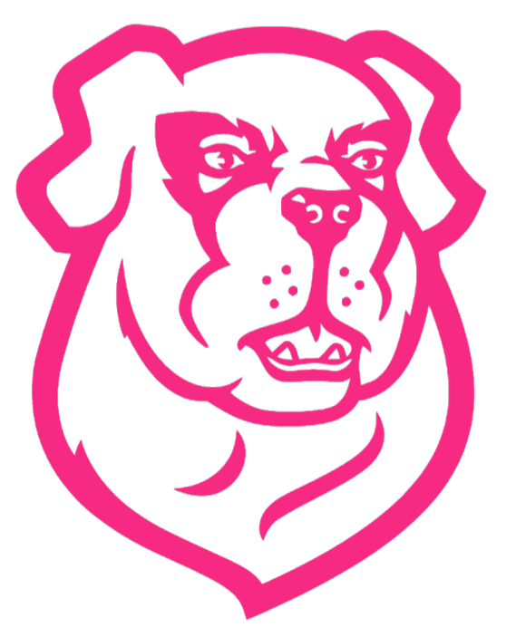 Siena Saints HOT PINK Team Logo Premium DieCut Vinyl Decal PICK SIZE