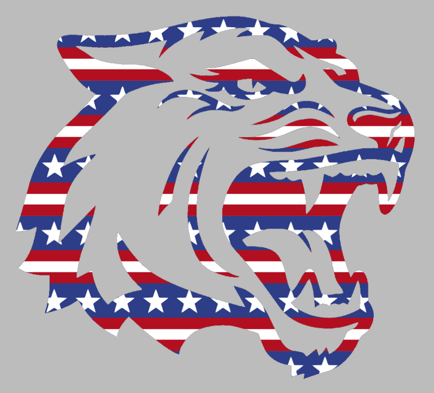 RIT Tigers Alternate Logo Stars & Stripes USA American Flag Vinyl Decal PICK SIZE