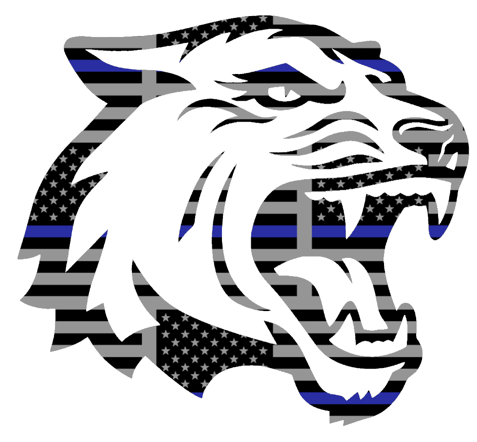 RIT Tigers Alternate Logo Thin Blue Line American Flag Premium DieCut Vinyl Decal PICK SIZE