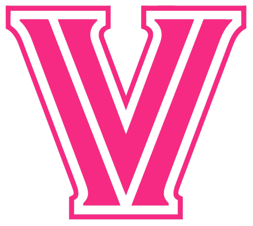 Villanova Wildcats HOT PINK Team Logo Premium DieCut Vinyl Decal PICK SIZE