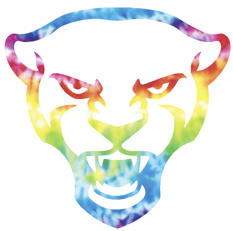 Pittsburgh Pitt Panthers Mascot Logo Crucial Catch Cancer Tie Dye Vinyl Decal PICK SIZE