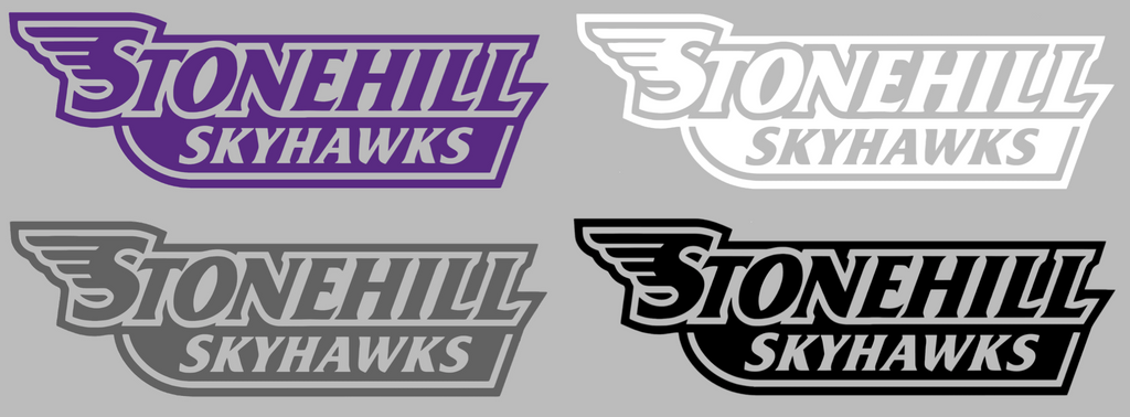 Stonehill Skyhawks Team Name Logo Premium DieCut Vinyl Decal PICK COLOR & SIZE