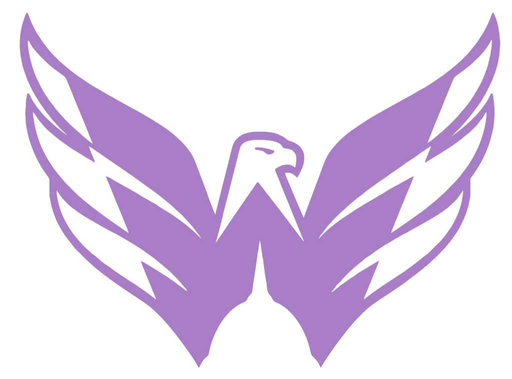 Washington Capitals PURPLE CANCER AWARENESS Alternate Logo Premium DieCut Vinyl Decal PICK SIZE