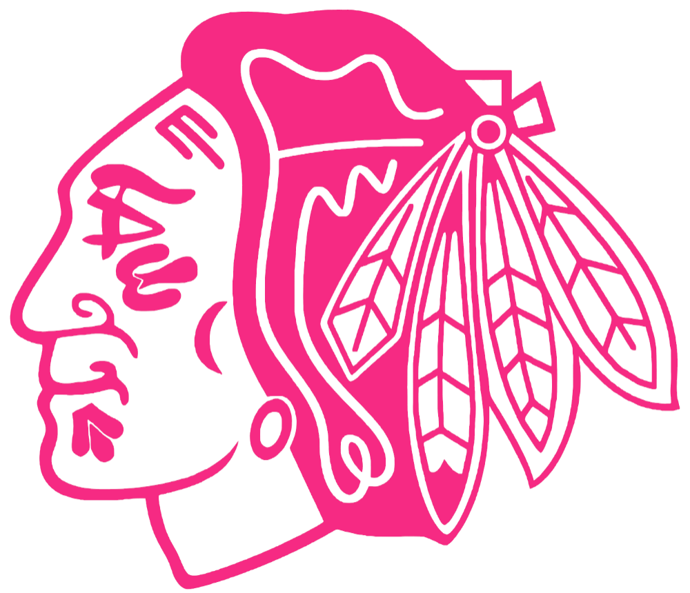 Chicago Blackhawks HOT PINK Team Logo Premium DieCut Vinyl Decal PICK SIZE