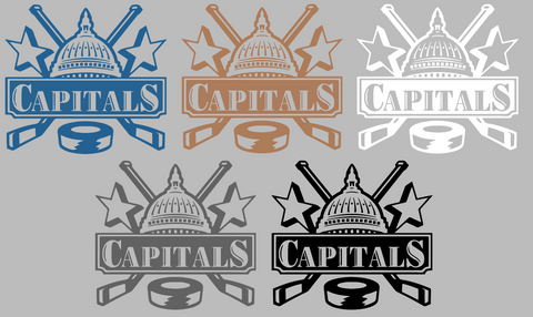 Washington Capitals Retro Throwback Logo Premium DieCut Vinyl Decal PICK COLOR & SIZE