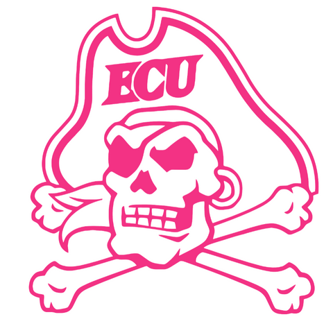 East Carolina Pirates HOT PINK Team Logo Premium DieCut Vinyl Decal PICK SIZE