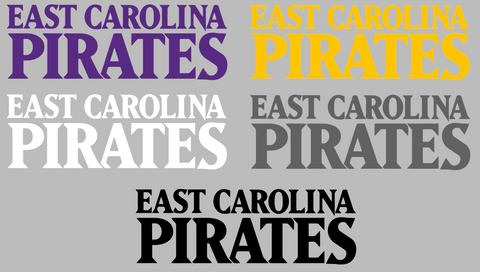 East Carolina Pirates Team Name Logo Premium DieCut Vinyl Decal PICK COLOR & SIZE