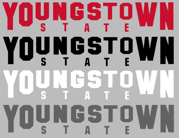 Youngstown State Penguins Team Name Logo Premium DieCut Vinyl Decal PICK COLOR & SIZE