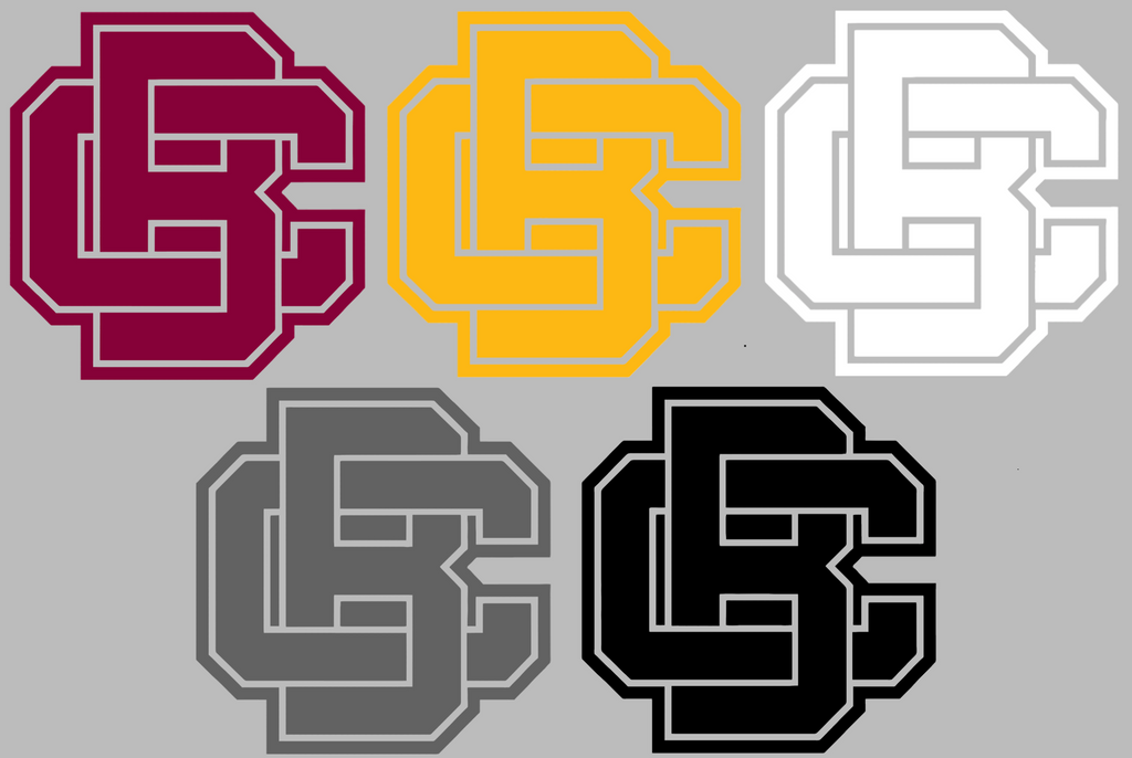 Bethune Cookman Wildcats Team Logo Premium DieCut Vinyl Decal PICK COLOR & SIZE