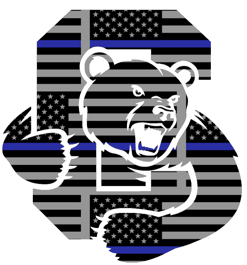 Cornell Big Red Team Logo Thin Blue Line American Flag Premium DieCut Vinyl Decal PICK SIZE